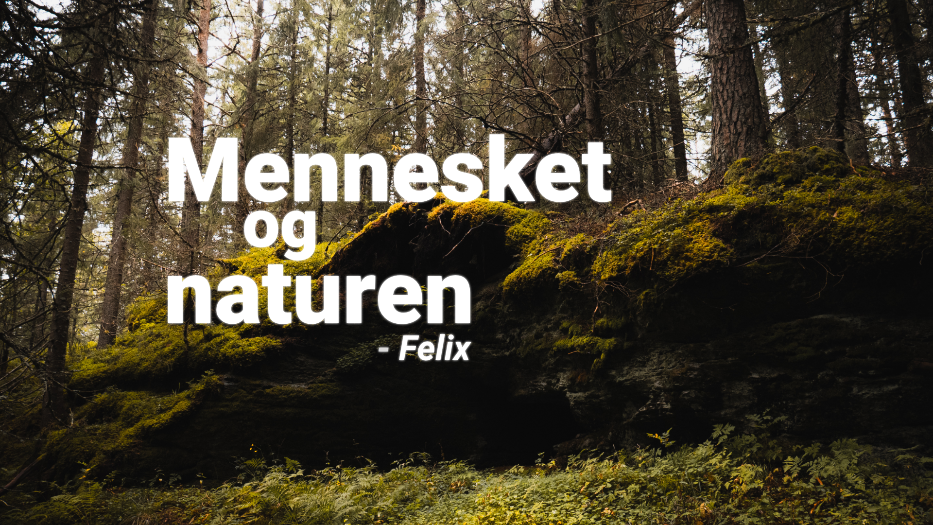 Mennesket og naturen