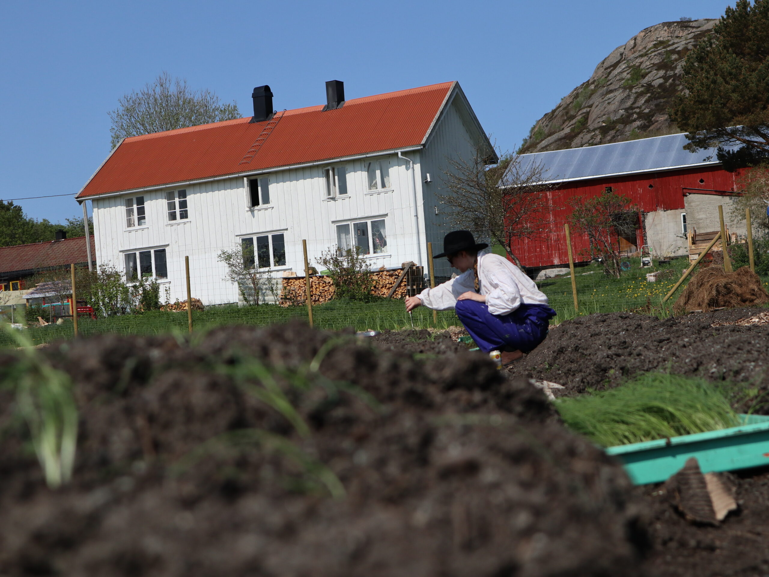 SMÅBRUK PÅ KYSTEN